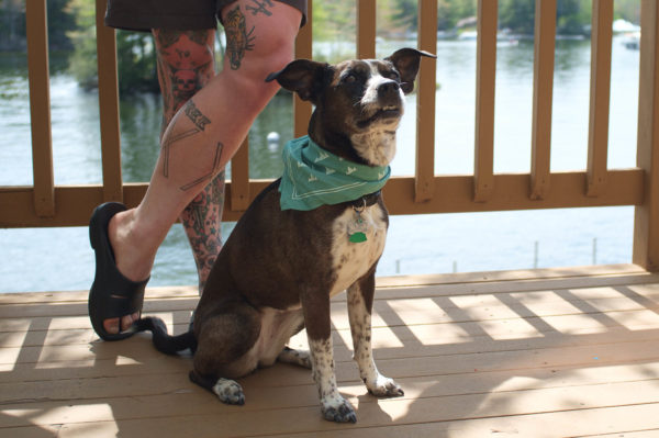 Landsmith Bandana - Image 2